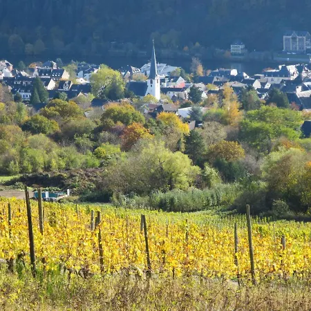 Appartement Haus Wildstein-1 By Interhome